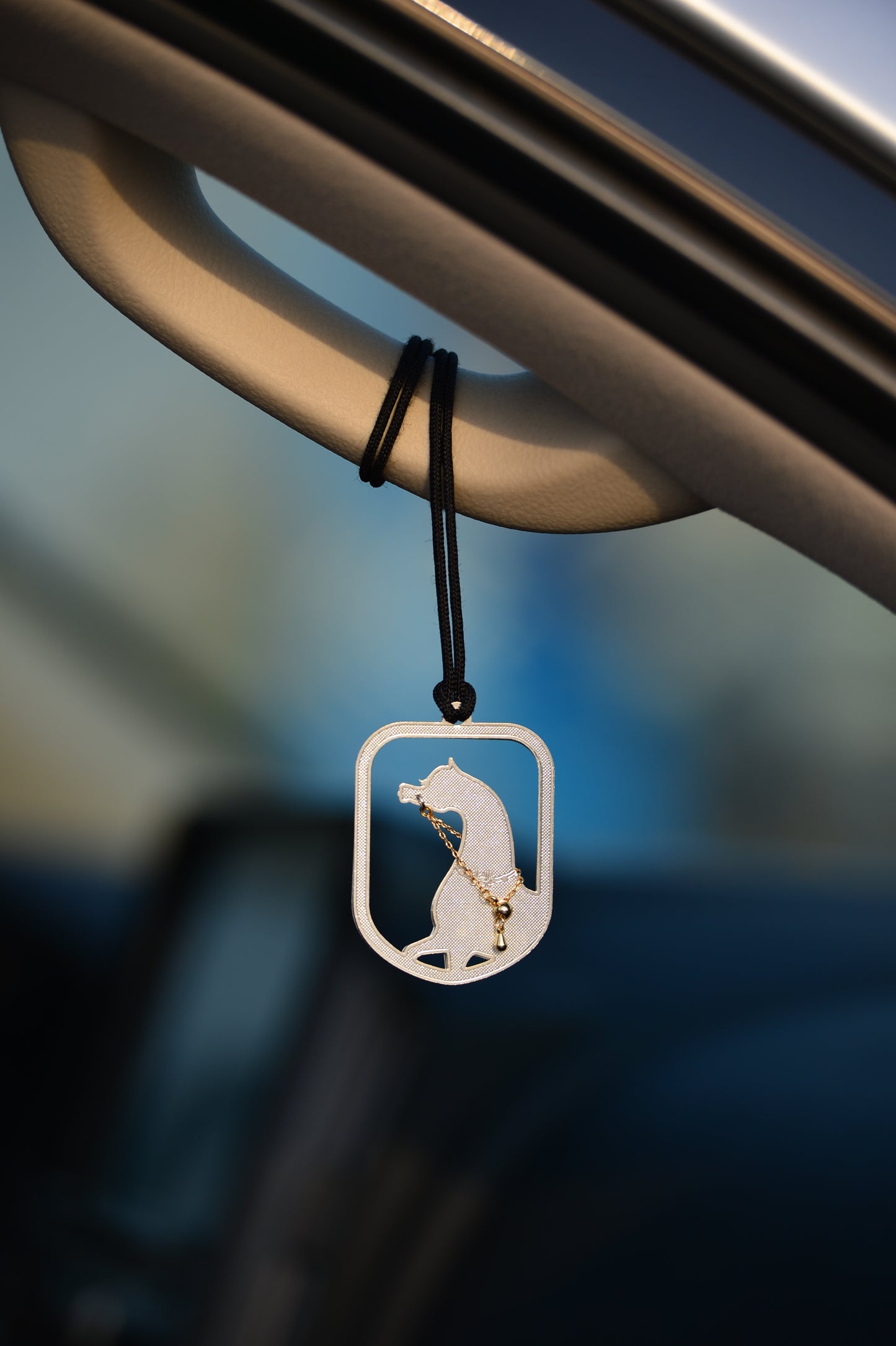 الخيل 1