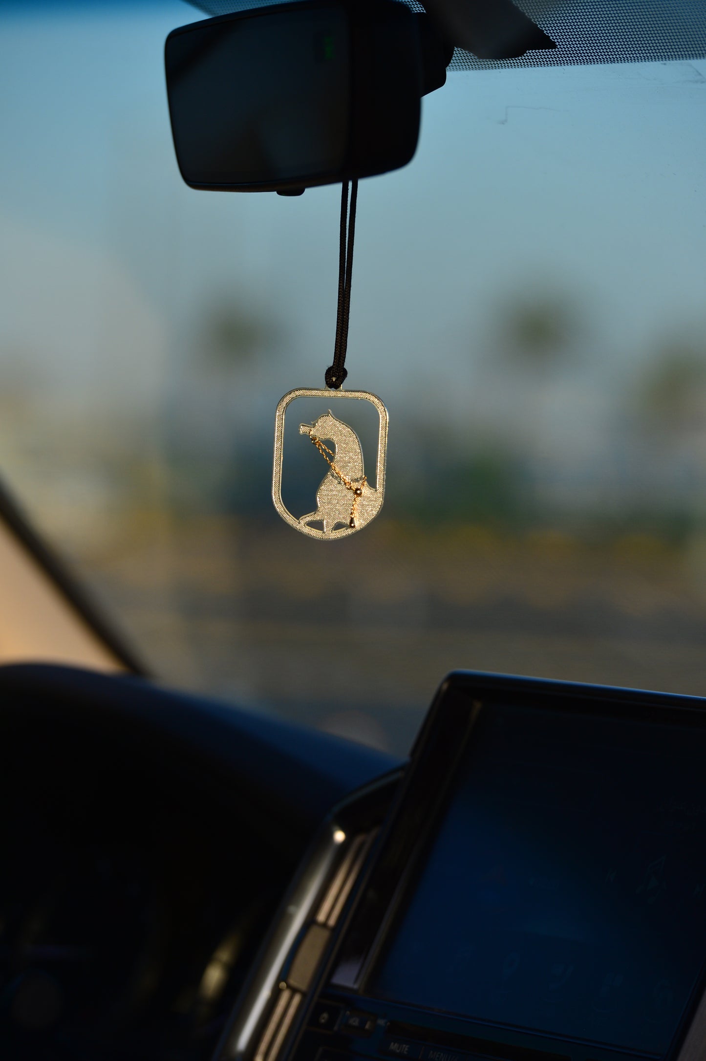 الخيل 1