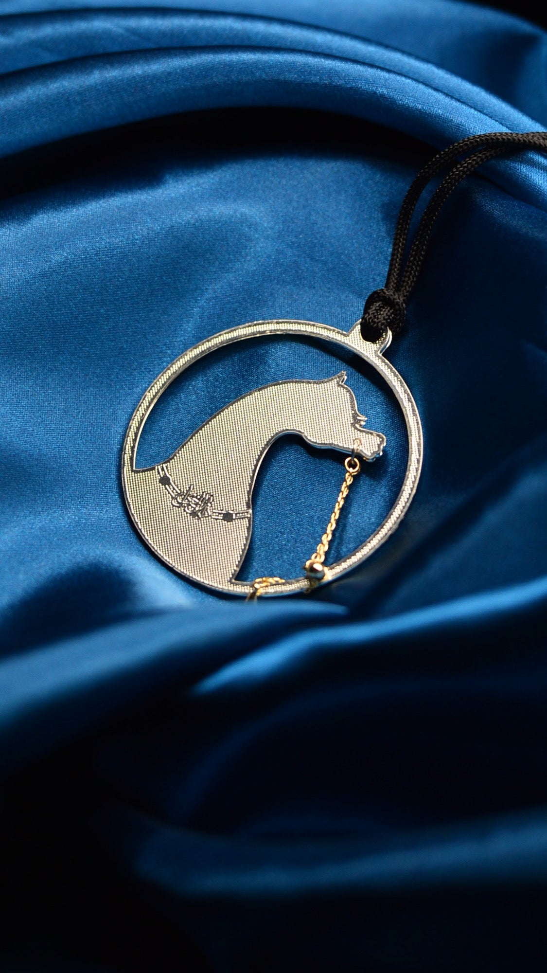 الخيل 3